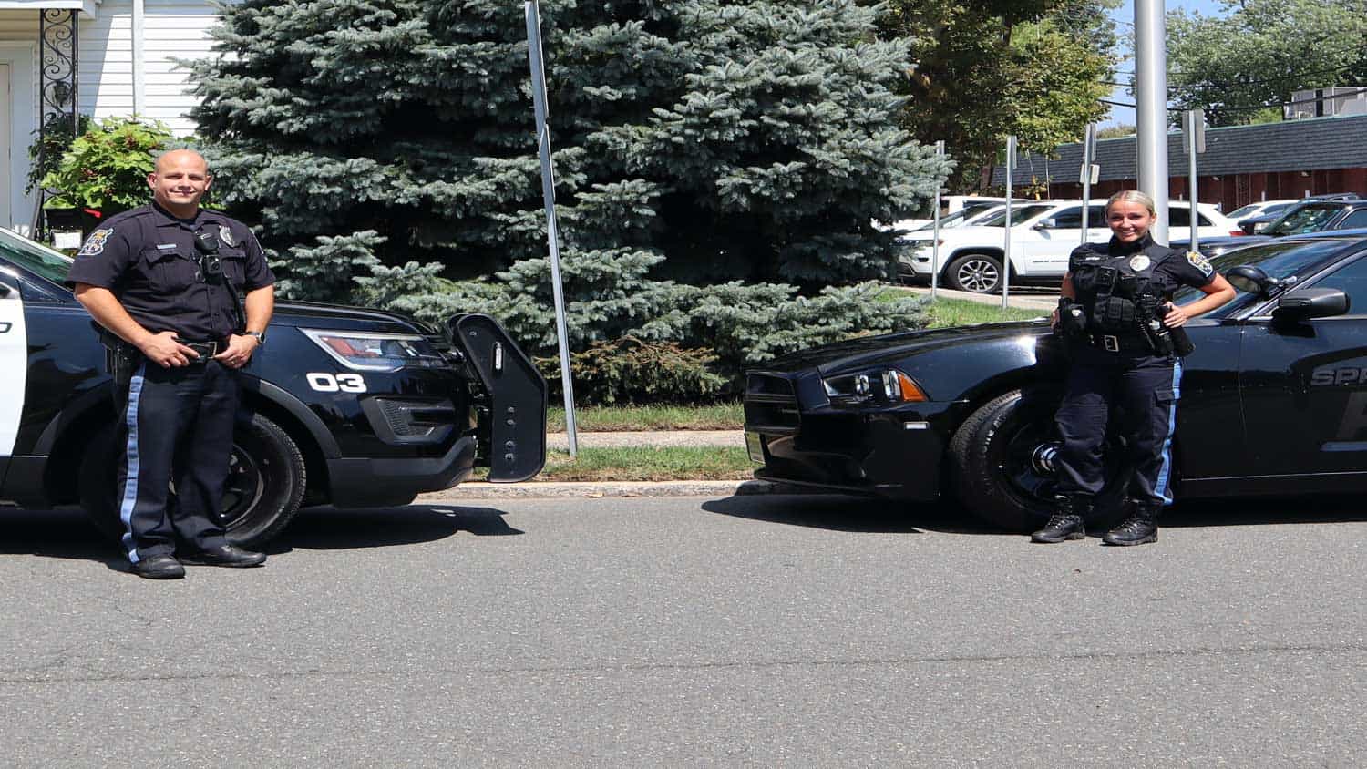 Levine Haddad & Gregory LLC (Levine DeSantis, LLC) Springfield,  Office