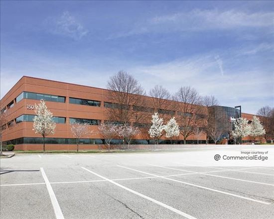 Celli & Associates Wayne,  Office