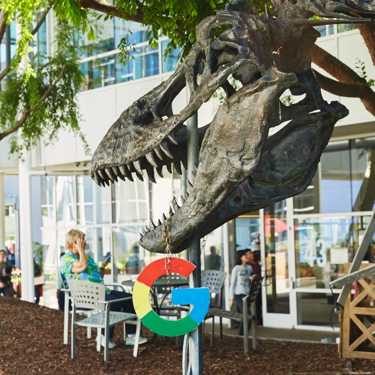 Dinos & Young, LLC Chicago,  Office