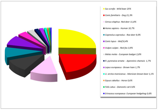 Satta Romano & Associati Rome, Italy Office