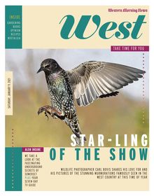 Bartons Solicitors Kingsbridge, United Kingdom Office