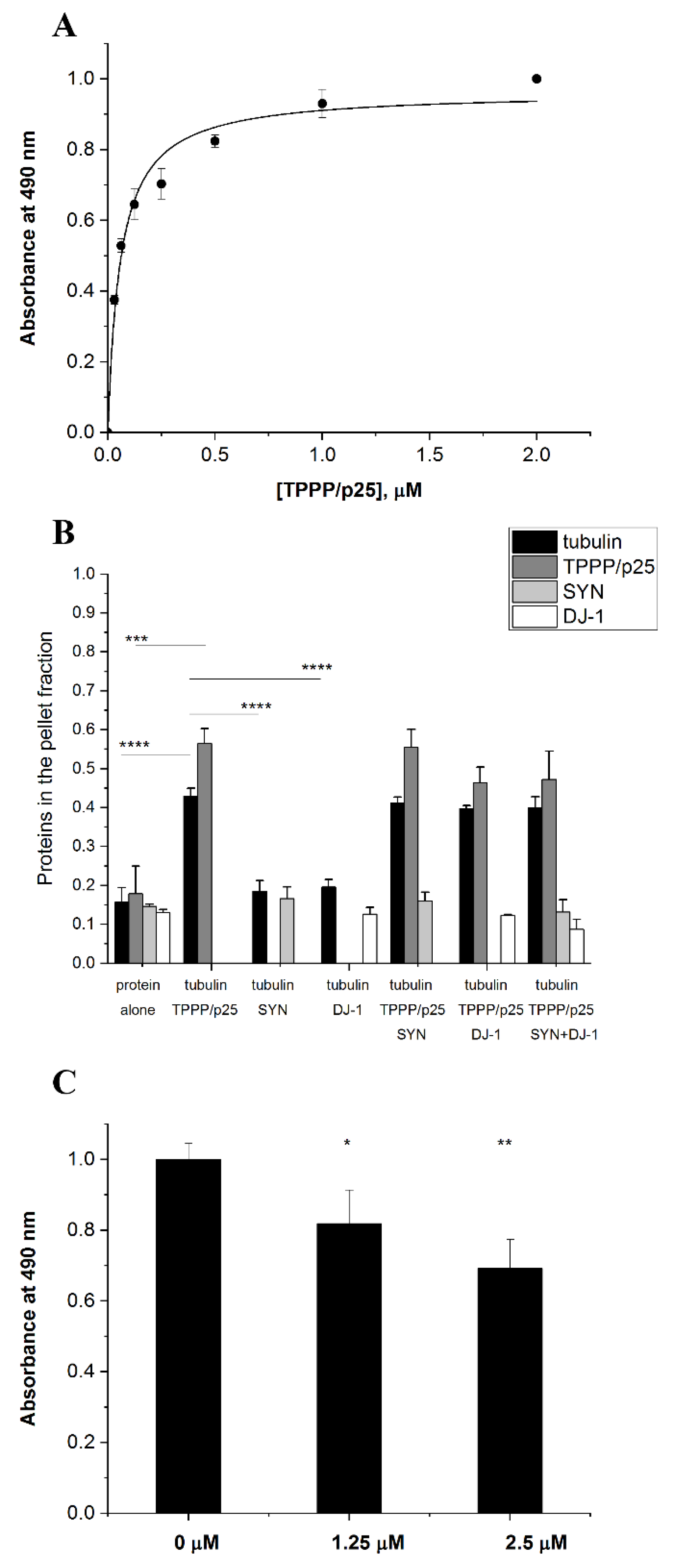 Bn, S. Szab & Partners Budapest, Hungary Office