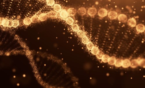 Bilzin Sumberg Baena Price & Axelrod LLP Miami, FL Office