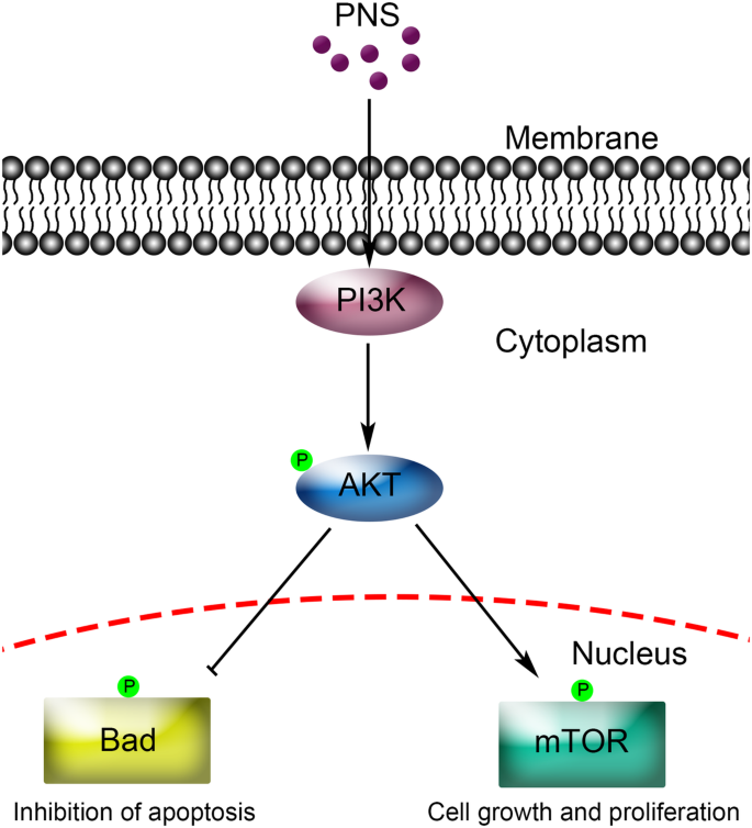 Zhonghao Law Firm Chongqing, China Office