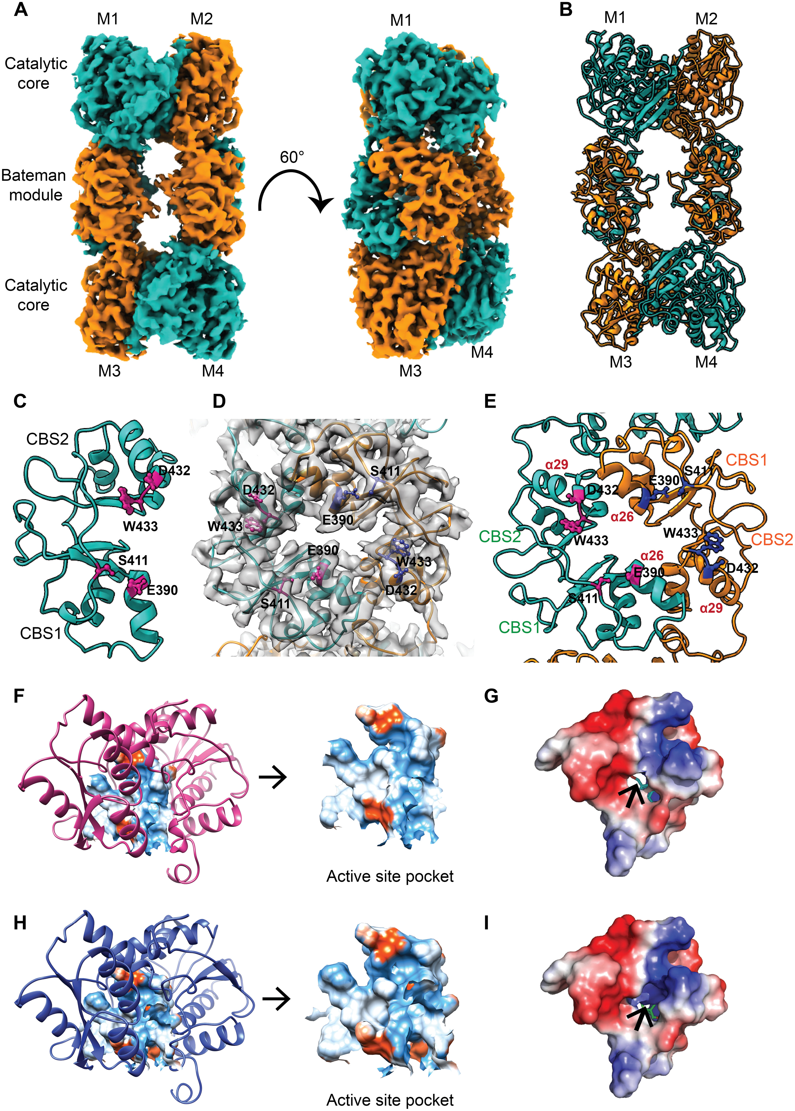 Bateman IP Salt Lake City,  Office