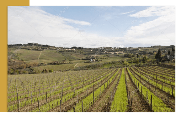 Lobb & Plewe Murrieta, CA Office