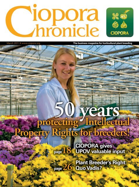 Jondle & Associates Castle Rock, CO Office