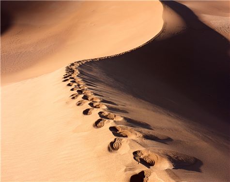 Dentons Sydney, Australia Office