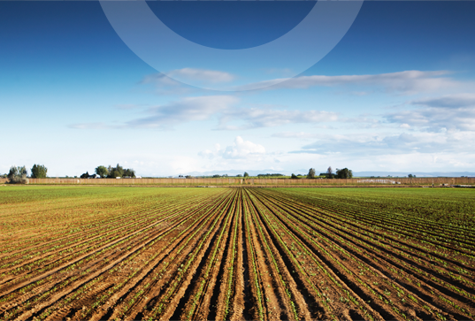 Morton, Reed, Counts, Briggs & Robb, L.L.C St. Joseph, United States Office