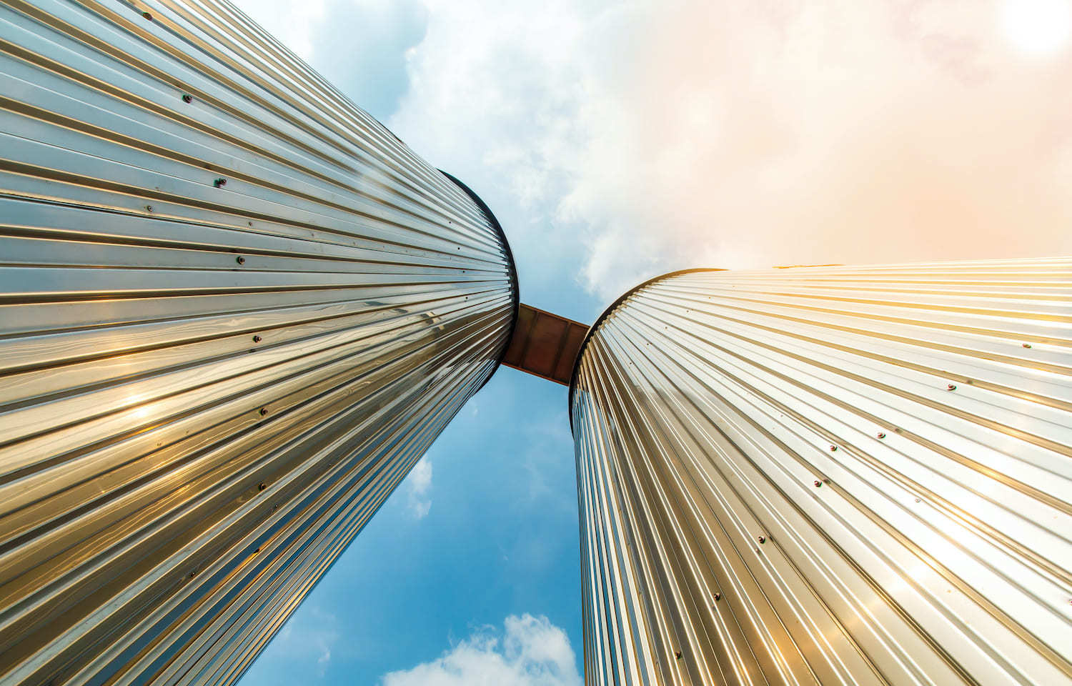 Duvernoix Legal Saint Petersburg, Russia Office