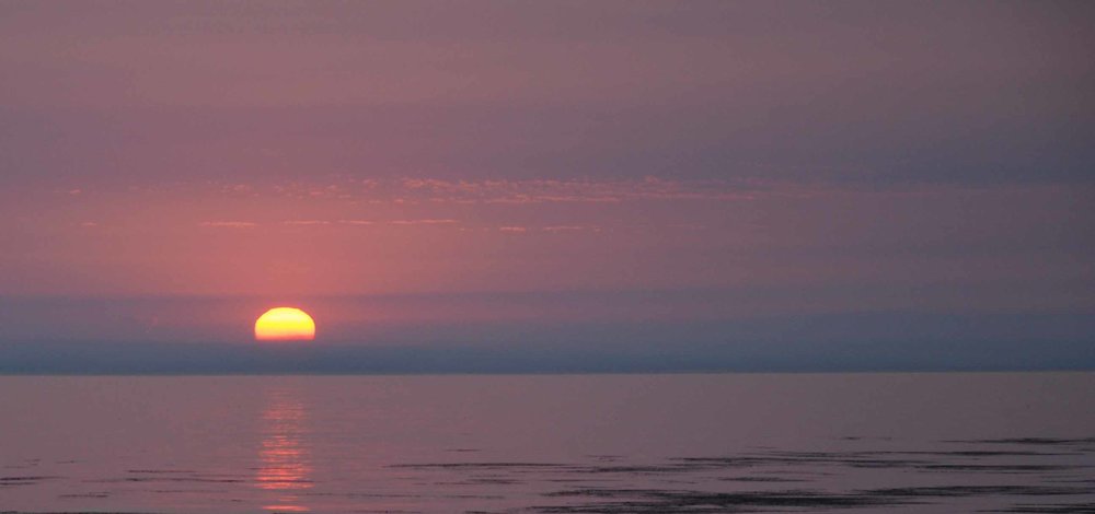 Wild, Carter & Tipton A Professional Corporation Fresno, CA Office