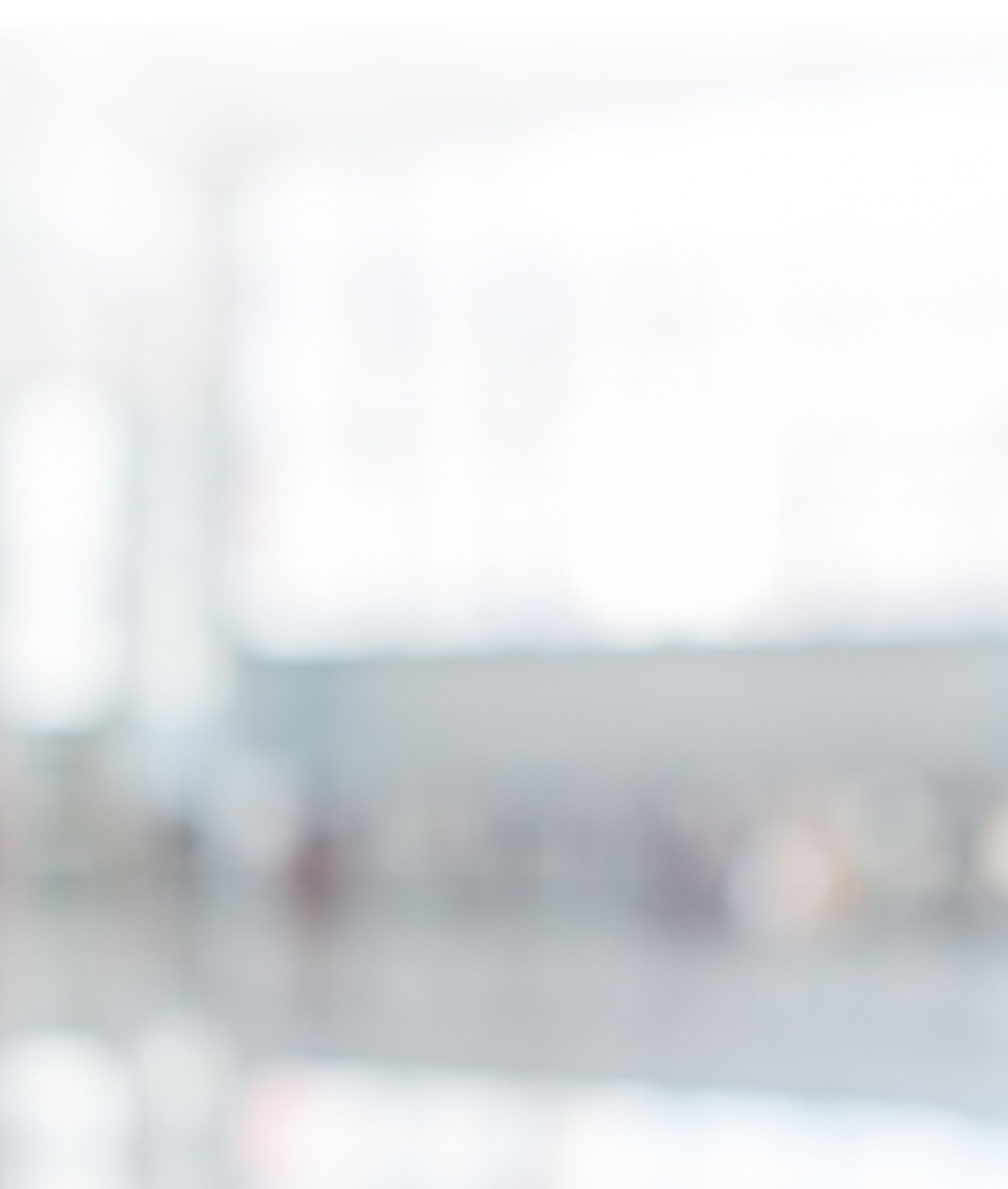 Fish Potter Bolaos, P.C Naperville,  Office