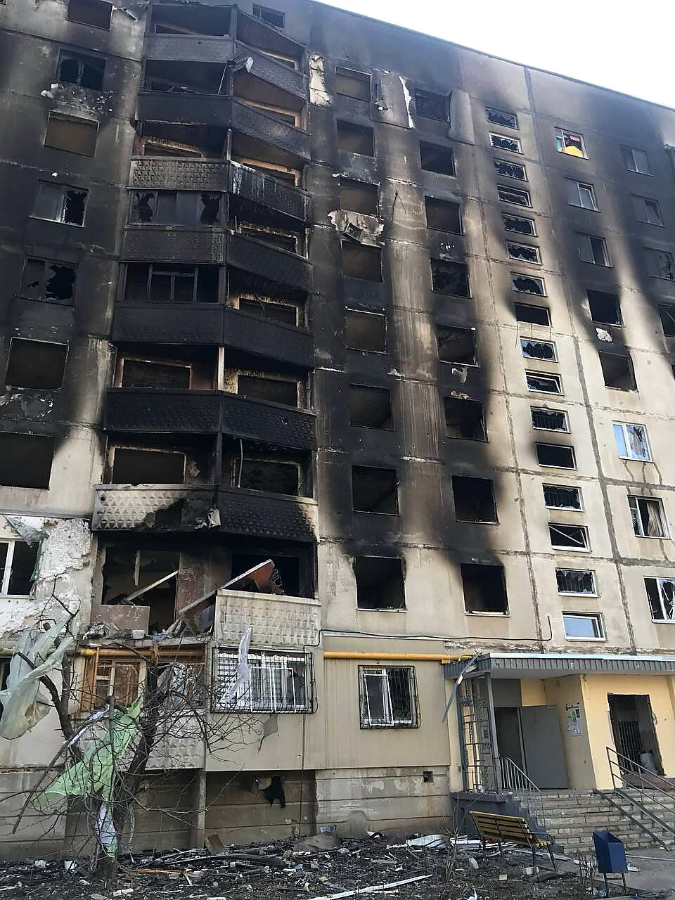 Dana Law Group Oro Valley, AZ Office