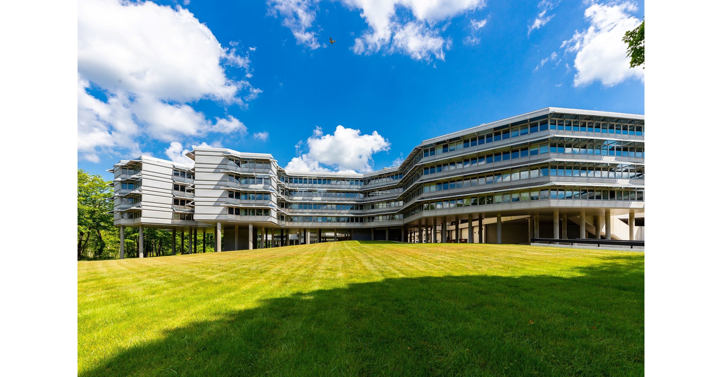 Law Offices of Michael Boyle, PC Danbury, CT Office