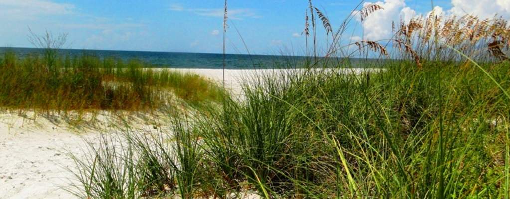 Dennis R. White, PA Naples, FL Office