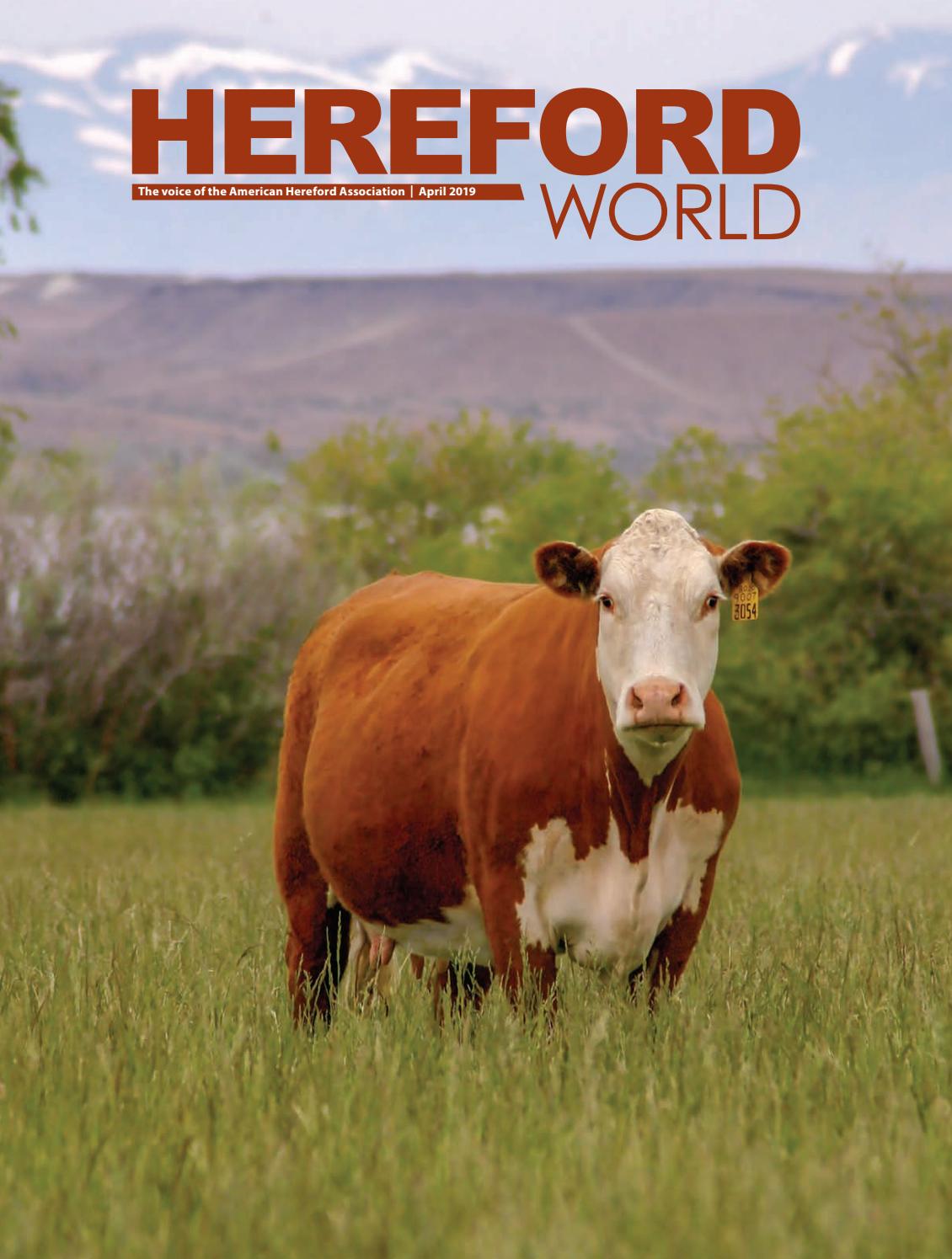 Couch Lambert, LLC Memphis, TN Office