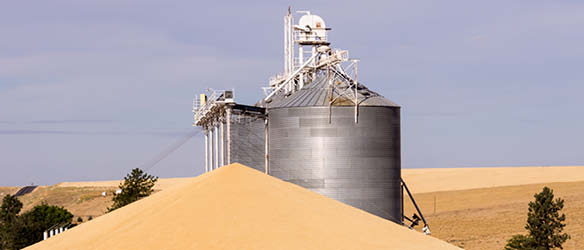 Balciunas and Grajauskas Vilnius, Lithuania Office