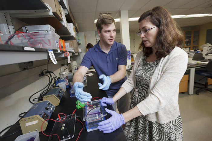 Brennan & Associates, P.C Wyomissing, PA Office