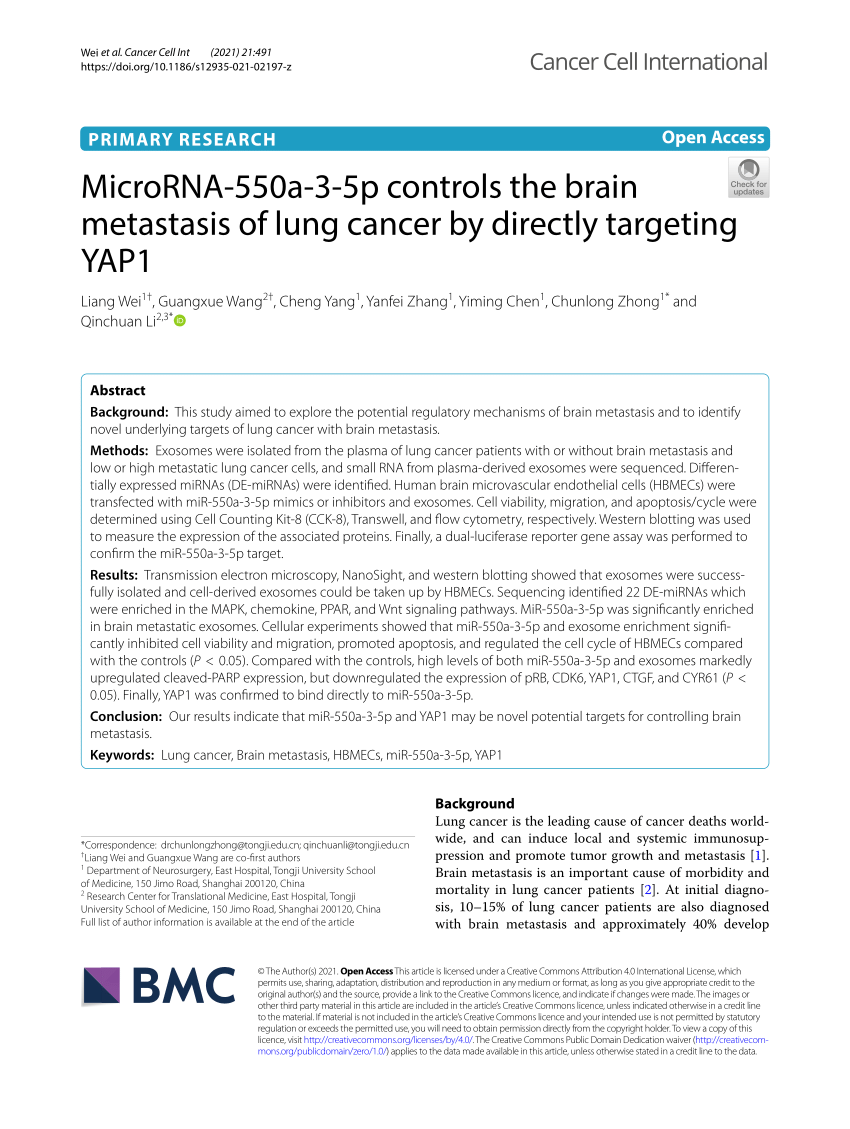 Chen and Co. Law Firm Shanghai, China Office