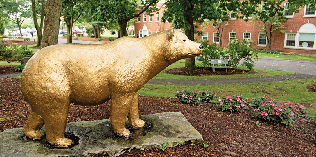 Melucci Firm, P.C Garden City,  Office