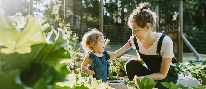 Law Office of Jeffrey M. Janeiro, P.L Naples, FL Office