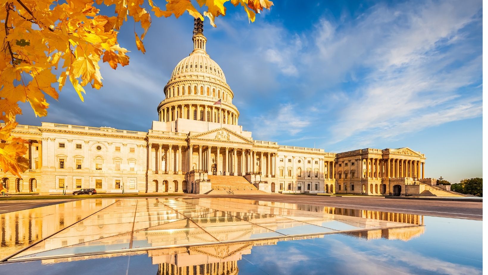 The Bellamy Law Firm Washington, DC Office