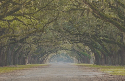 John E. Pytte Savannah, GA Office