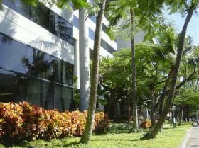 Ogawa, Lau, Nakamura & Jew, Attorneys At Law Honolulu, HI Office