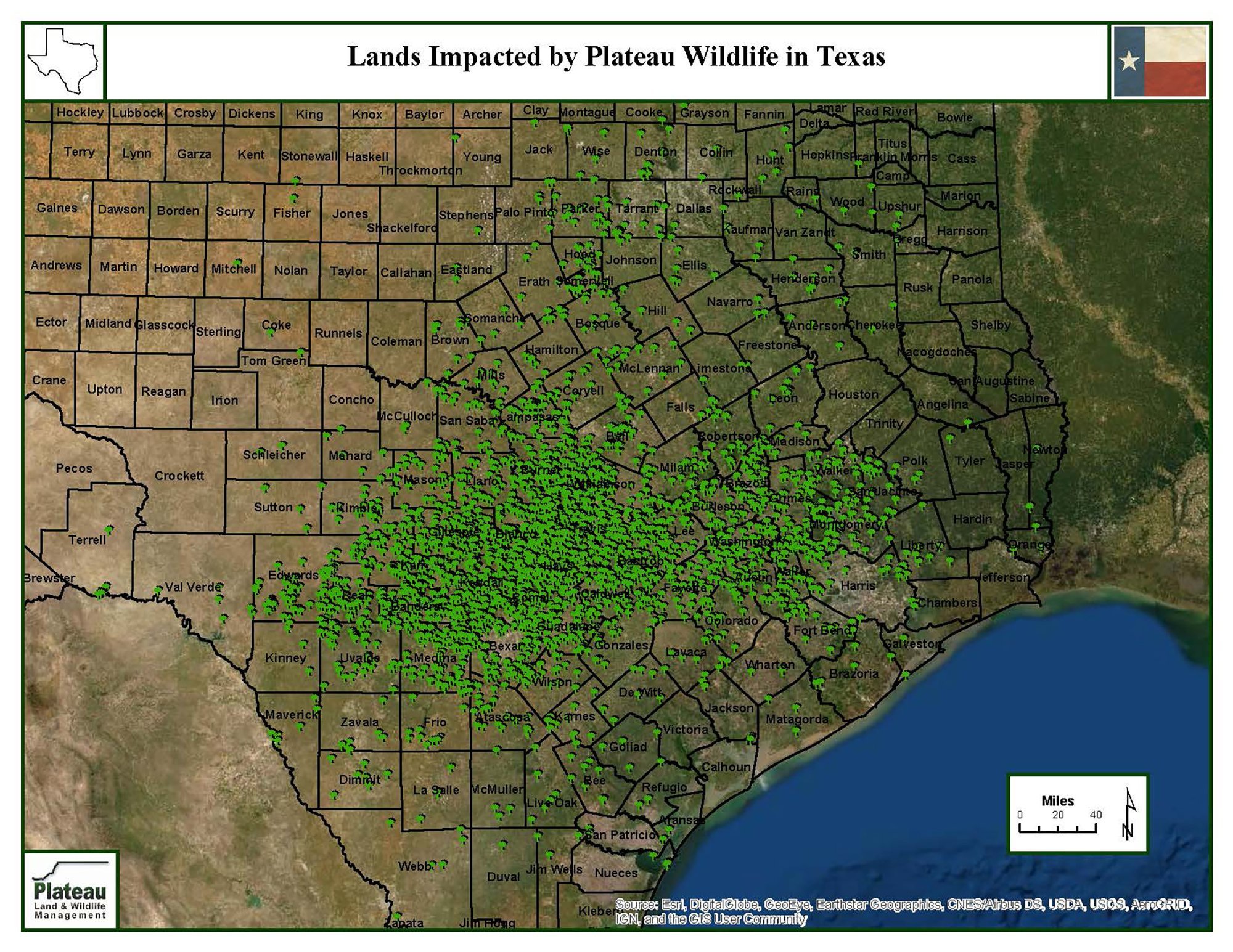 Braun & Gresham, PLLC Dripping Springs, TX Office