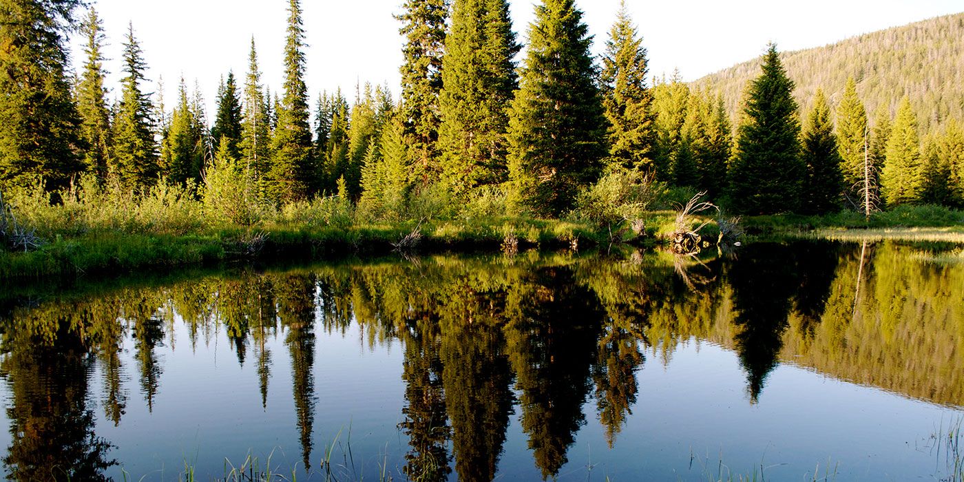 Montgomery Little & Soran, P.C Greenwood Village, CO Office