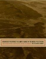 Ivins, Phillips & Barker, Chartered Washington, DC Office