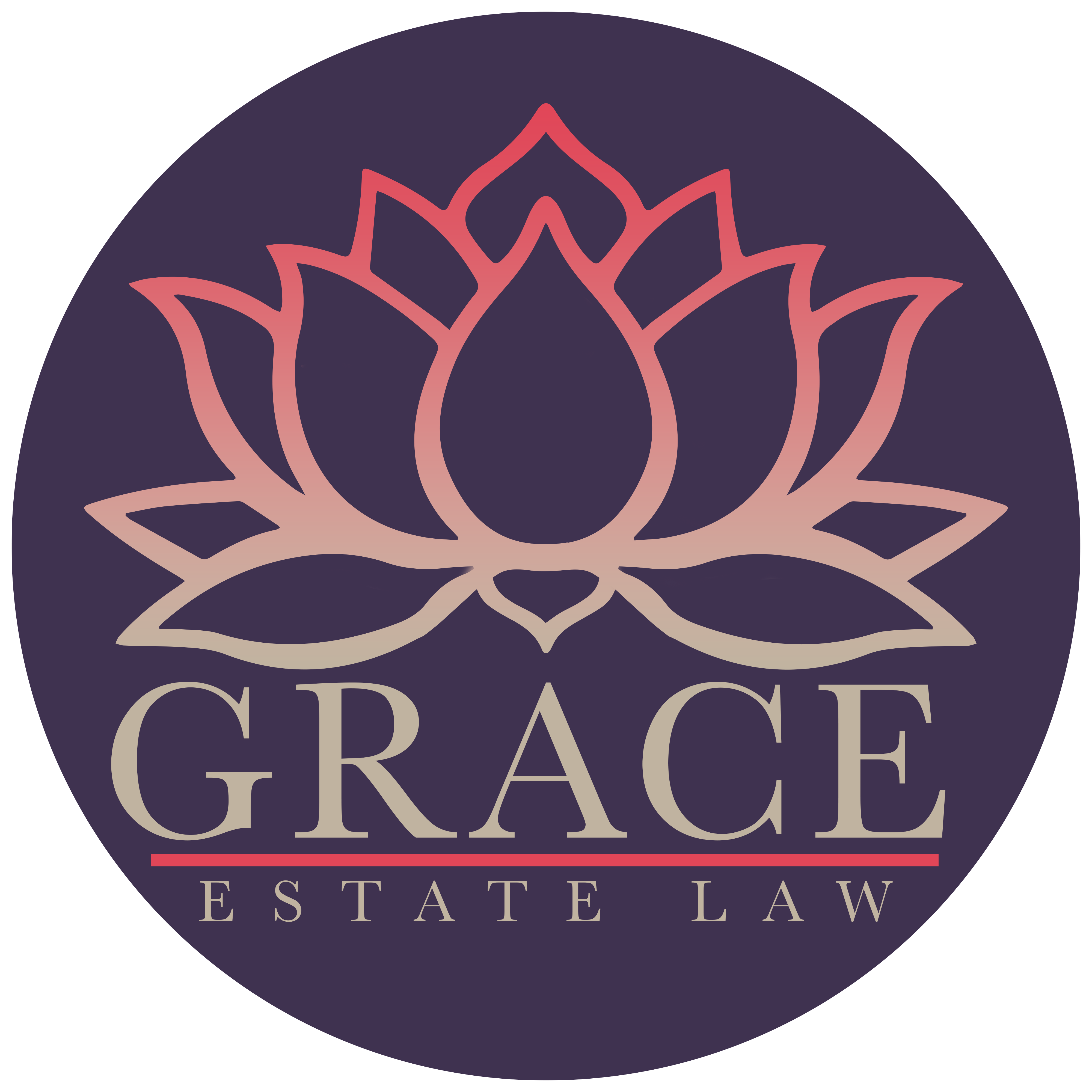 Law Office of Adriane S. Grace, PLLC Frisco,  Office