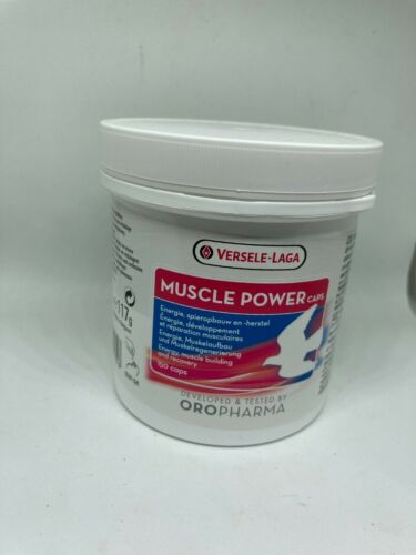 Laga Luxembourg,  Office