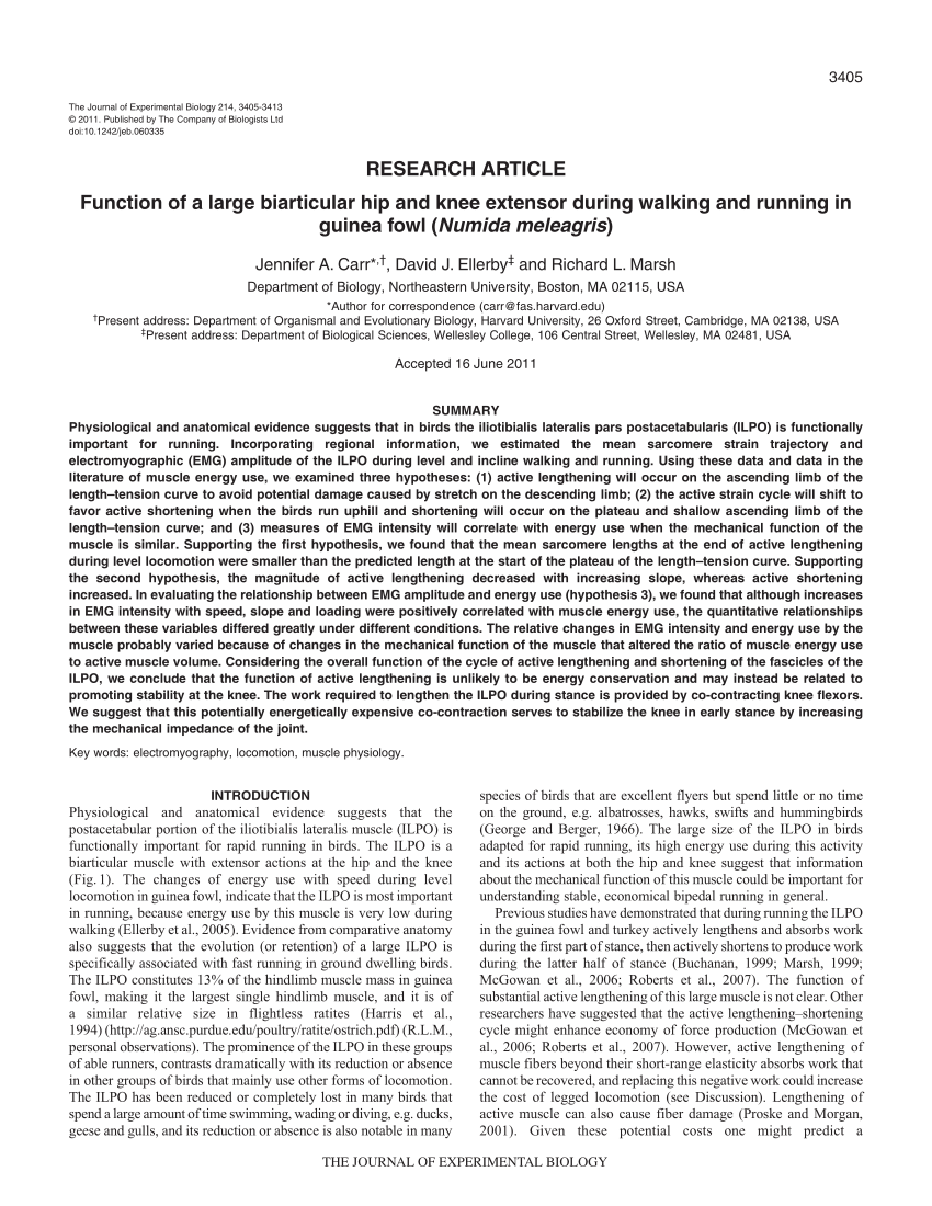 The Halks Firm Wellesley Hills,  Office