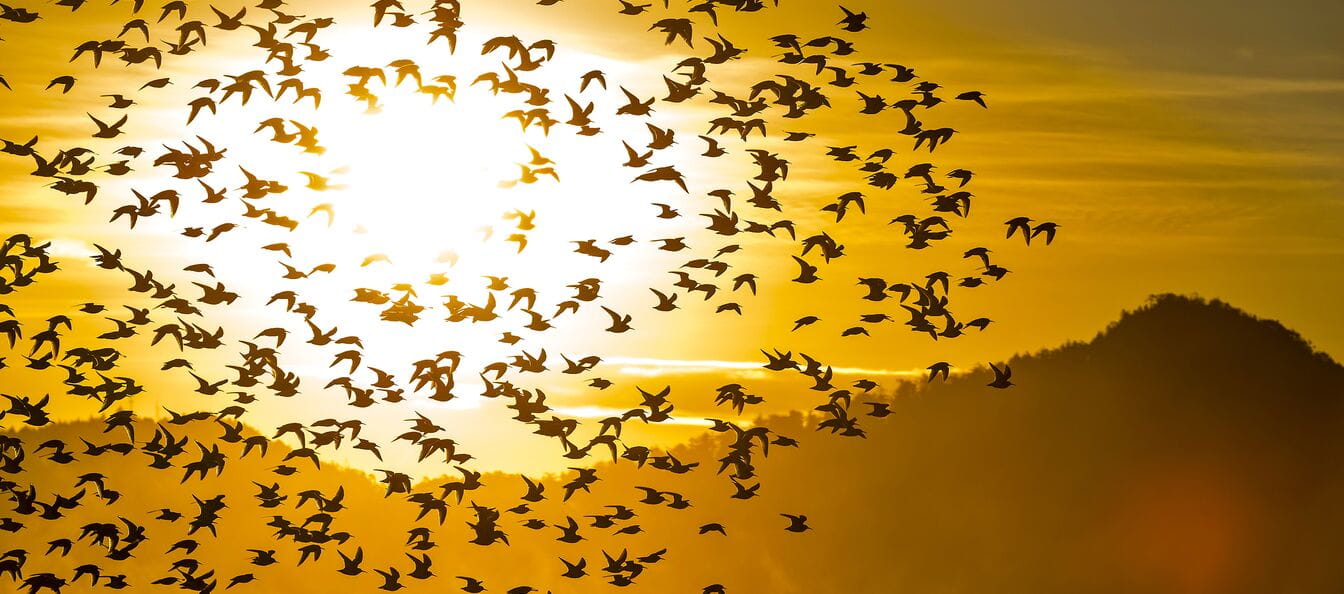 Noerr LLP Alicante, Spain Office