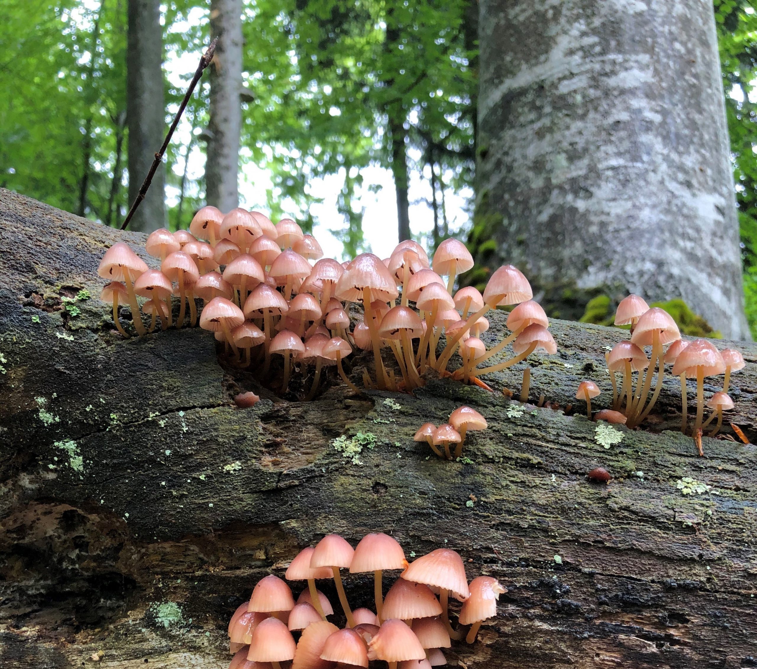 EIP Dusseldorf, Germany Office