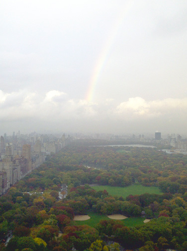 SCAROLA ZUBATOV SCHAFFZIN PLLC New York City,  Office