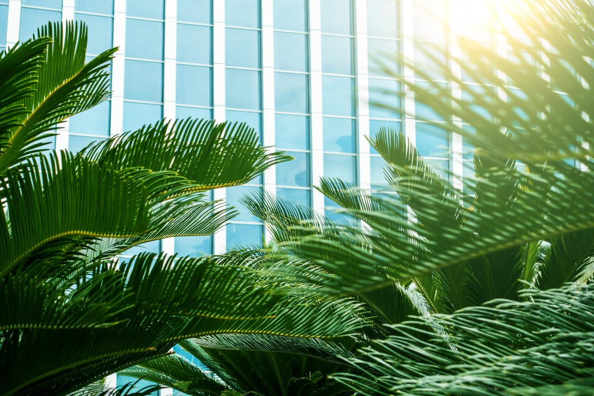 Carey Olsen Road Town, British Virgin Islands Office