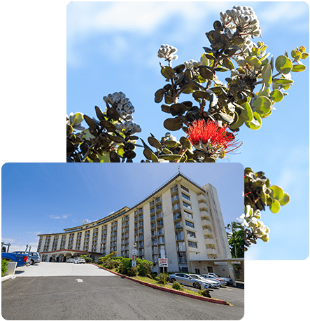 Ted H.S. Hong Attorney at Law LLLC Hilo,  Office