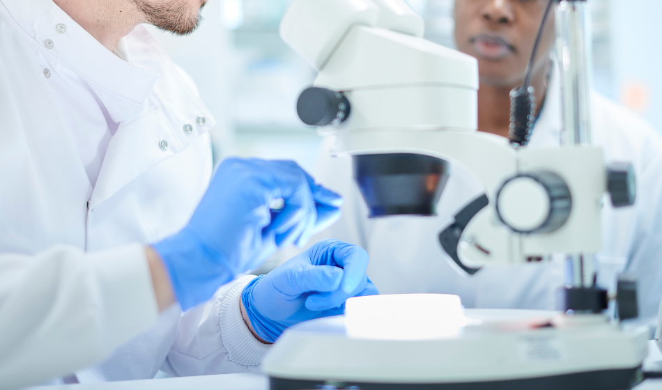 The John Hall Law Group Millersville, MD Office