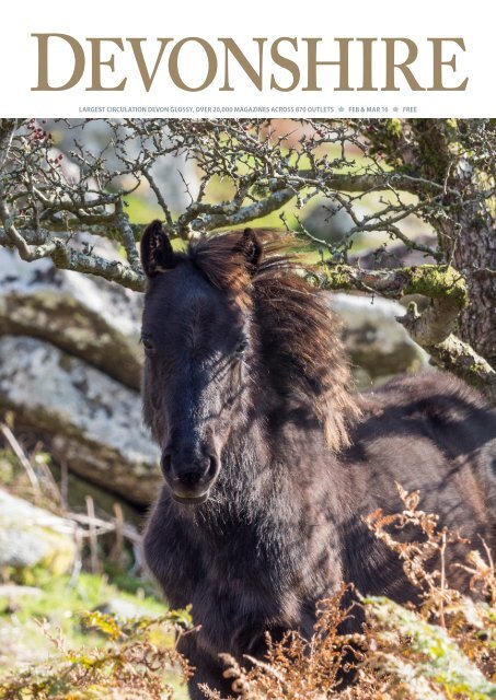 Bartons Solicitors Kingsbridge, United Kingdom Office