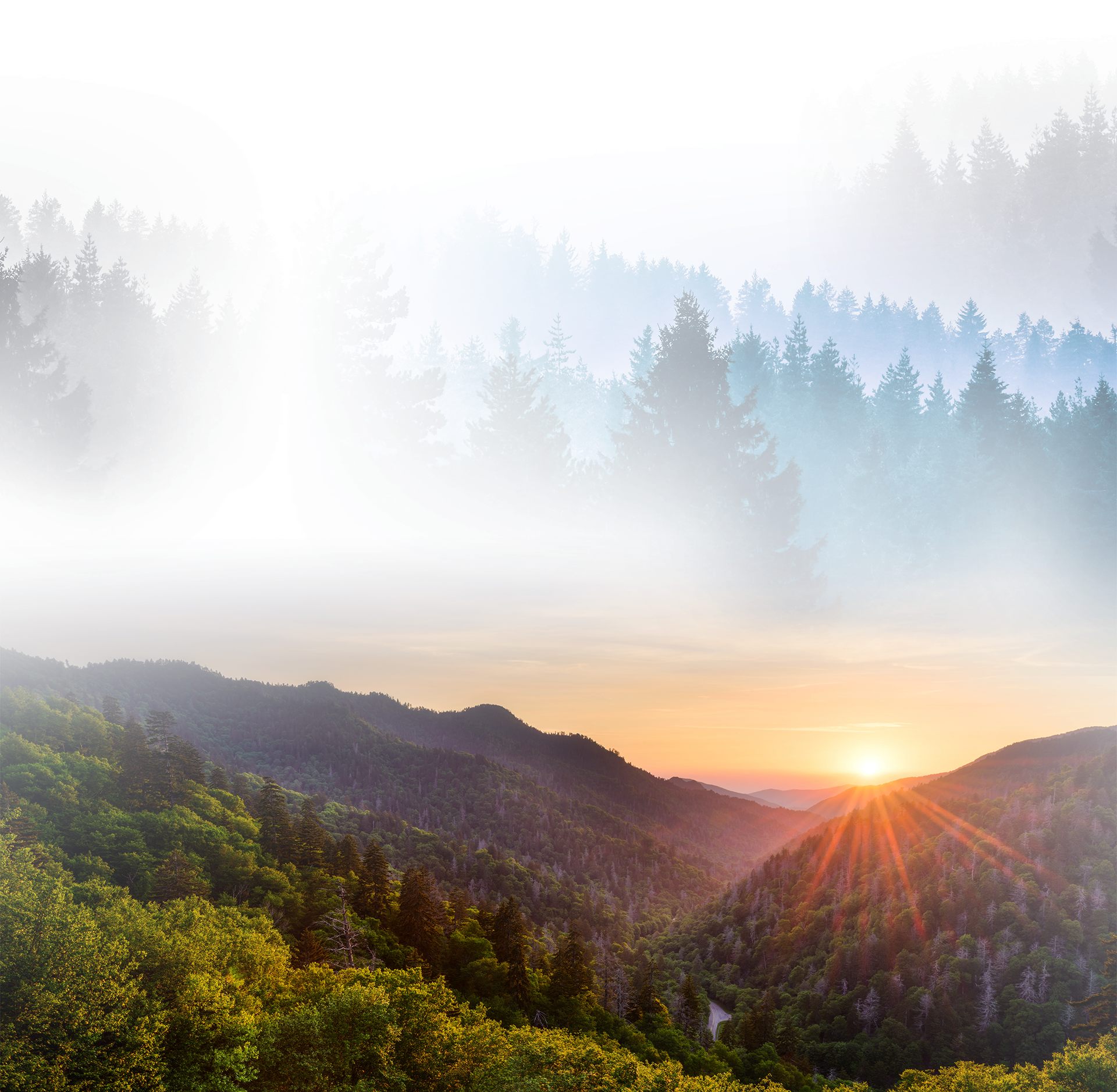 May Rammell & Wells Pocatello,  Office