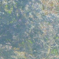 Michael H. Schwartz, P.C White Plains, NY Office