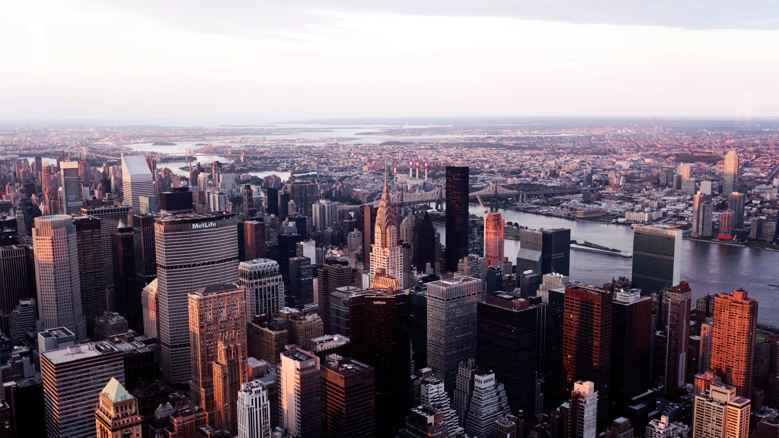 La Sorsa & Beneventano Attorneys at Law White Plains, NY Office