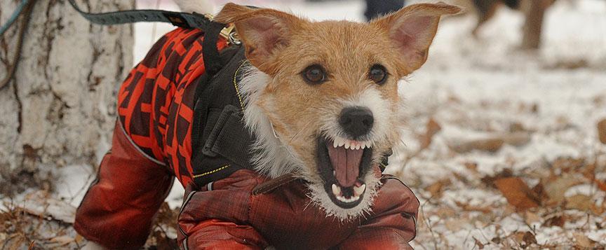 Salvi & Maher, PC Richmond, IL Office