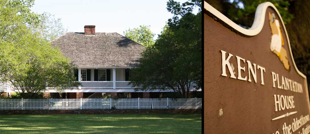 Johnson Siebeneicher & Ingram Attorneys At Law Alexandria, LA Office