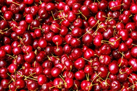 Voinescu & Partners Bucharest, Romania Office