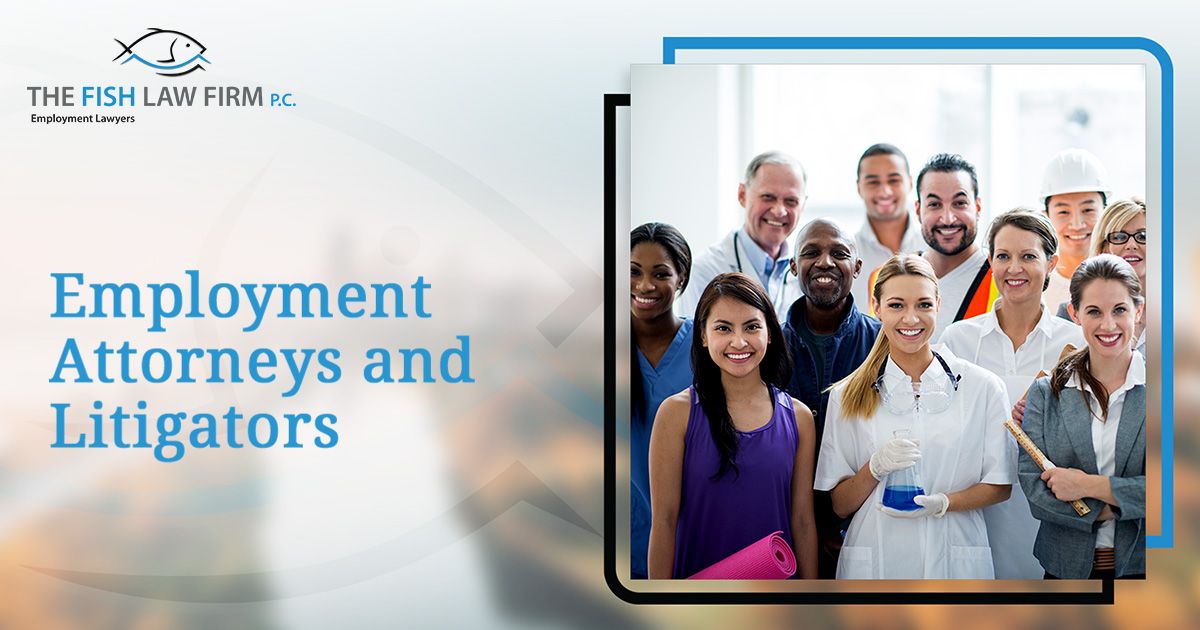 Fish Potter Bolaos, P.C Naperville,  Office