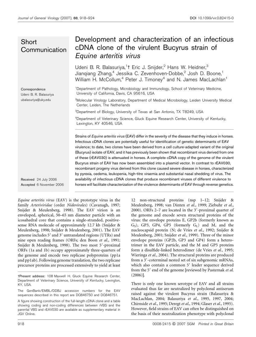 Brin & Brin, P.C San Antonio, TX Office