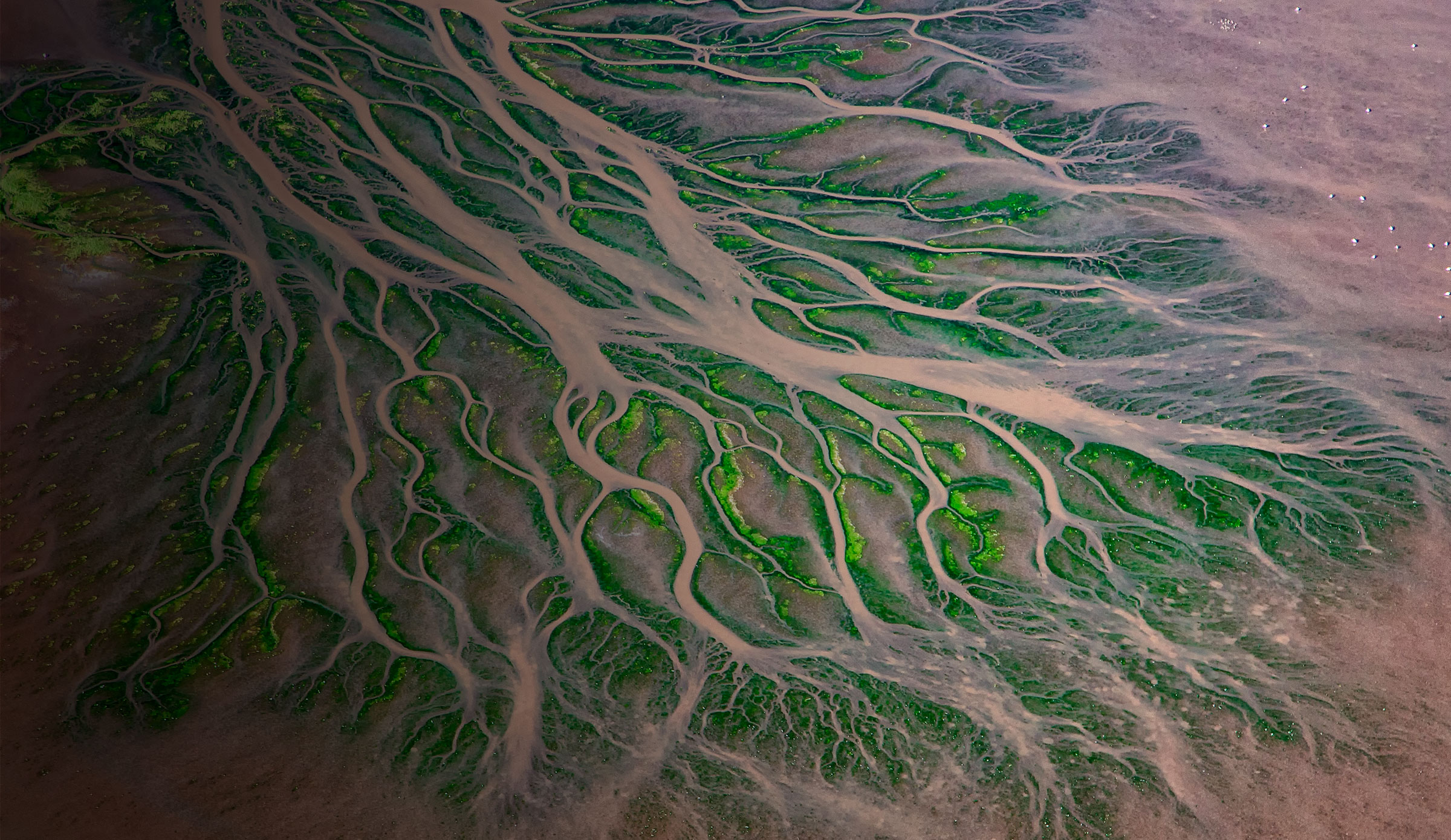 MAQS Advokatbyra Warsaw, Poland Office